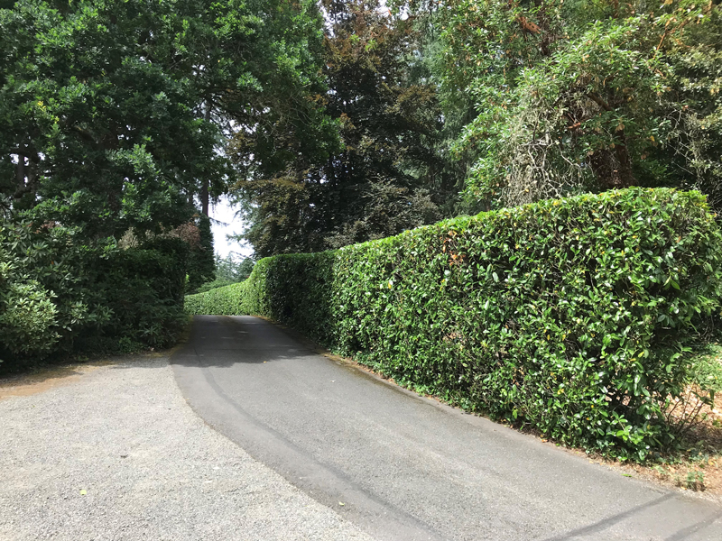 Landscaping Services Image 5