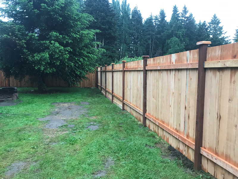 Landscaping Services Image 7