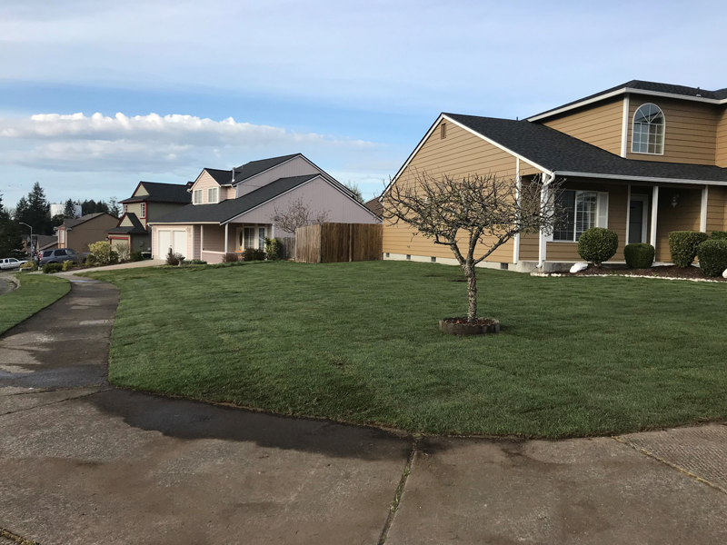 Landscaping Services Image 9